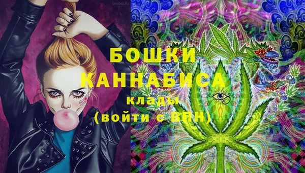 гидра Болохово