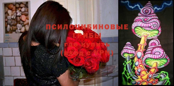 меф Болхов