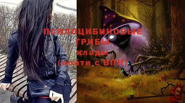 гидра Болохово