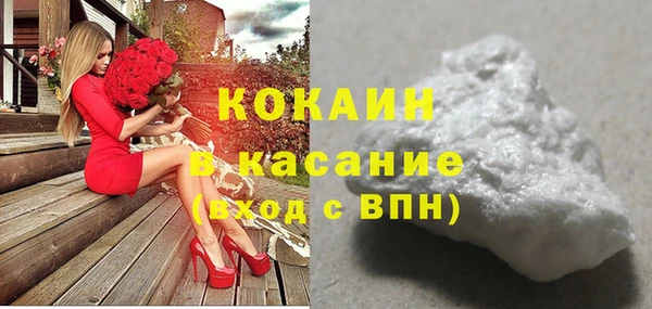 гидра Болохово