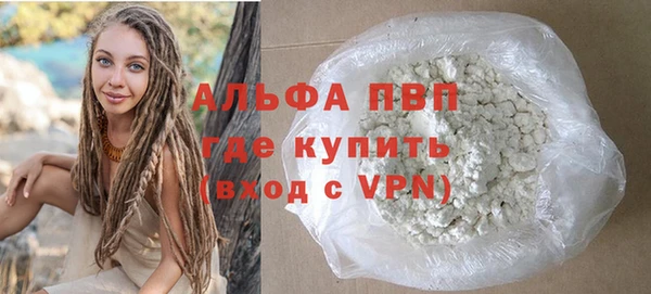 гидра Болохово