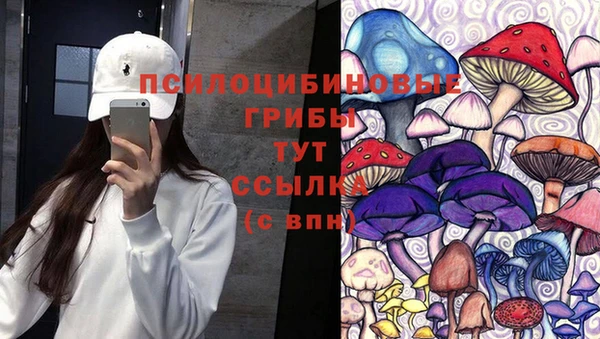 гидра Болохово
