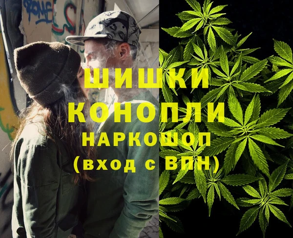 гидра Болохово