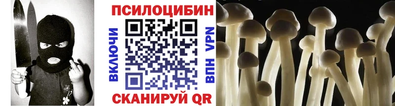 Галлюциногенные грибы мухоморы  купить наркотик  Зея 